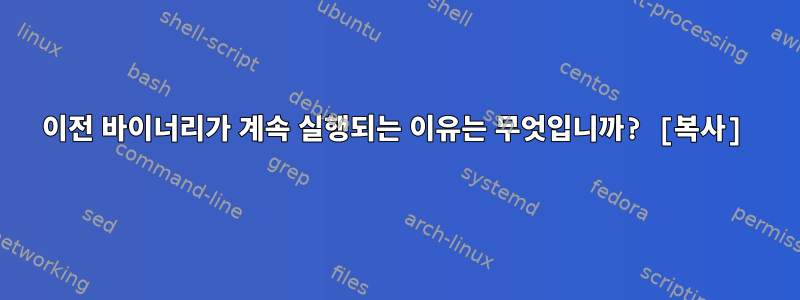 이전 바이너리가 계속 실행되는 이유는 무엇입니까? [복사]