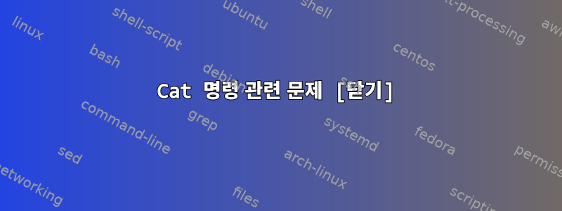 Cat 명령 관련 문제 [닫기]