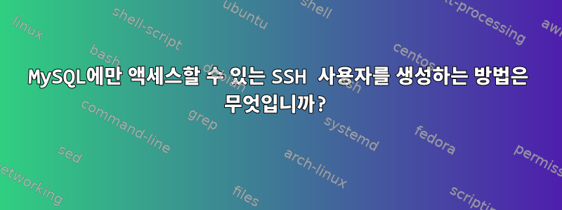 MySQL에만 액세스할 수 있는 SSH 사용자를 생성하는 방법은 무엇입니까?