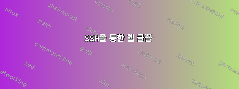 SSH를 통한 쉘 글꼴