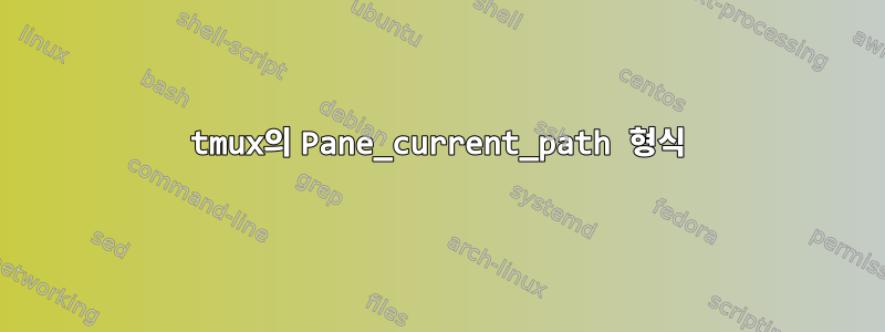 tmux의 Pane_current_path 형식