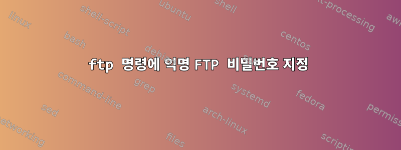 ftp 명령에 익명 FTP 비밀번호 지정