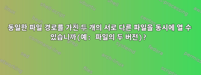 동일한 파일 경로를 가진 두 개의 서로 다른 파일을 동시에 열 수 있습니까(예: 파일의 두 버전)?