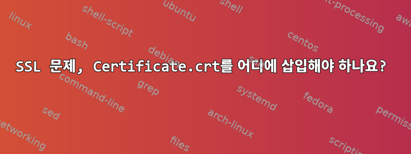 SSL 문제, Certificate.crt를 어디에 삽입해야 하나요?