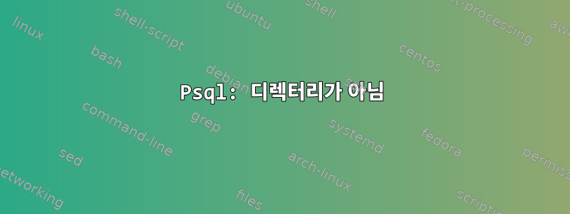 Psql: 디렉터리가 아님