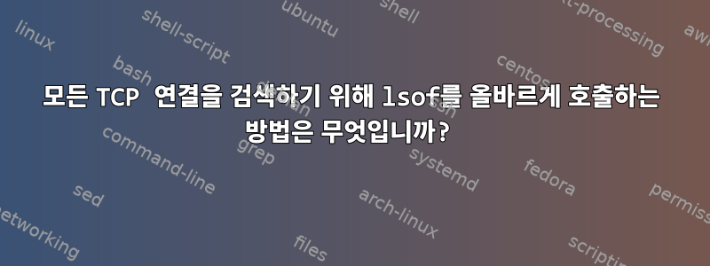 모든 TCP 연결을 검색하기 위해 lsof를 올바르게 호출하는 방법은 무엇입니까?