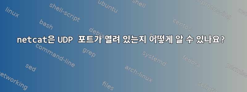 netcat은 UDP 포트가 열려 있는지 어떻게 알 수 있나요?