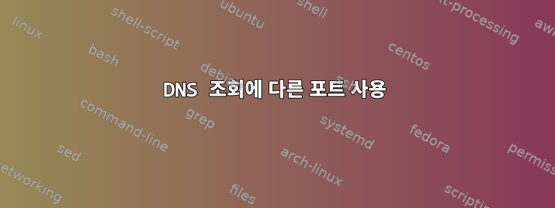 DNS 조회에 다른 포트 사용