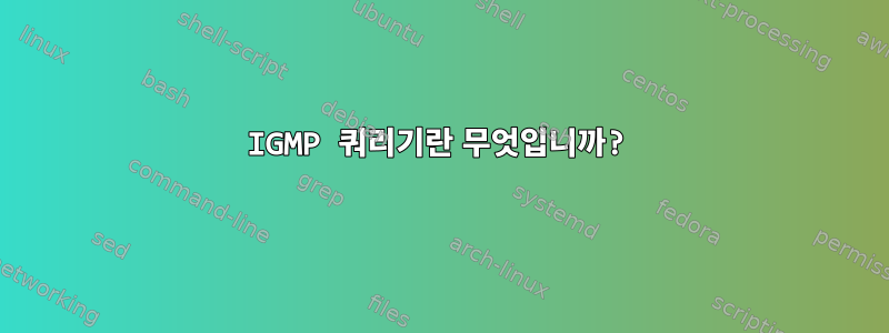 IGMP 쿼리기란 무엇입니까?