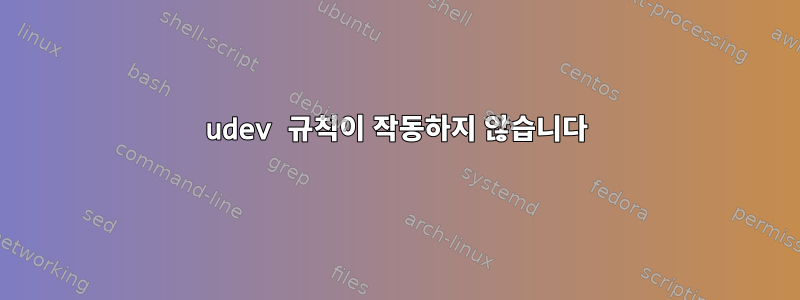 udev 규칙이 작동하지 않습니다