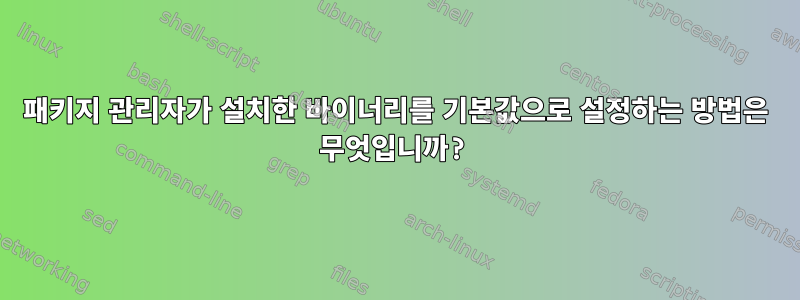 패키지 관리자가 설치한 바이너리를 기본값으로 설정하는 방법은 무엇입니까?