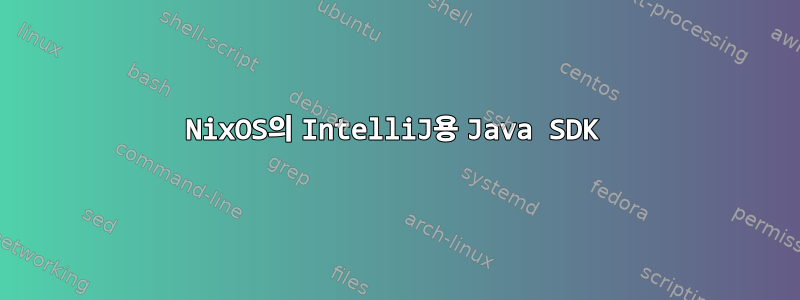 NixOS의 IntelliJ용 Java SDK