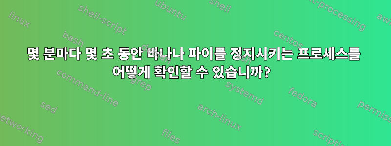 몇 분마다 몇 초 동안 바나나 파이를 정지시키는 프로세스를 어떻게 확인할 수 있습니까?