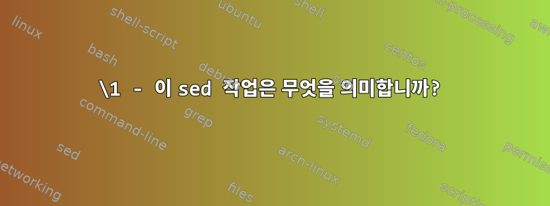 \1 - 이 sed 작업은 무엇을 의미합니까?