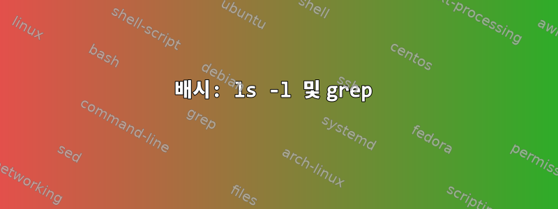 배시: ls -l 및 grep