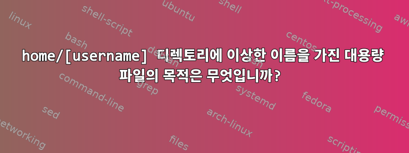 home/[username] 디렉토리에 이상한 이름을 가진 대용량 파일의 목적은 무엇입니까?