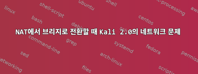 NAT에서 브리지로 전환할 때 Kali 2.0의 네트워크 문제