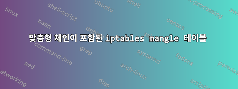 맞춤형 체인이 포함된 iptables mangle 테이블