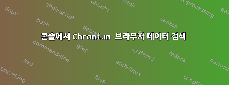 콘솔에서 Chromium 브라우저 데이터 검색