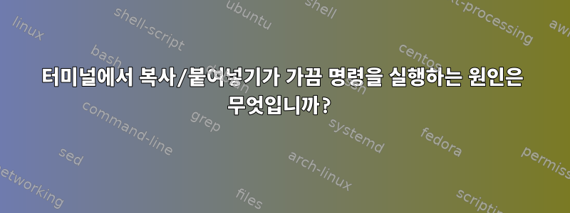 터미널에서 복사/붙여넣기가 가끔 명령을 실행하는 원인은 무엇입니까?