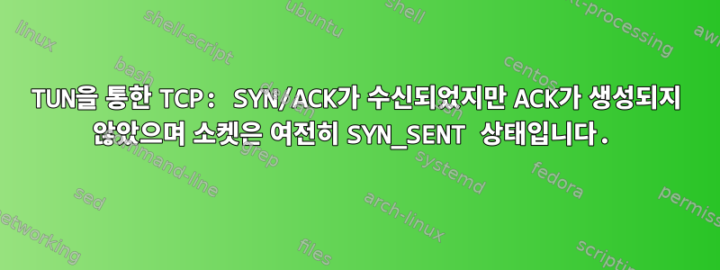 TUN을 통한 TCP: SYN/ACK가 수신되었지만 ACK가 생성되지 않았으며 소켓은 여전히 ​​SYN_SENT 상태입니다.