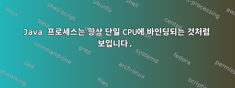 Java 프로세스는 항상 단일 CPU에 바인딩되는 것처럼 보입니다.