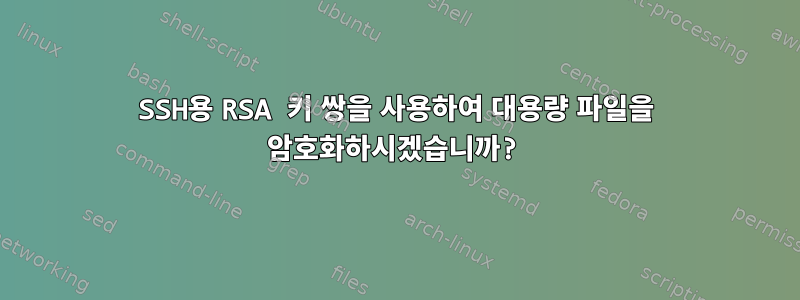 SSH용 RSA 키 쌍을 사용하여 대용량 파일을 암호화하시겠습니까?