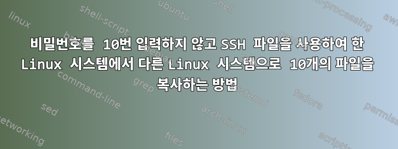 비밀번호를 10번 입력하지 않고 SSH 파일을 사용하여 한 Linux 시스템에서 다른 Linux 시스템으로 10개의 파일을 복사하는 방법