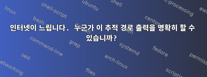 인터넷이 느립니다. 누군가 이 추적 경로 출력을 명확히 할 수 있습니까?