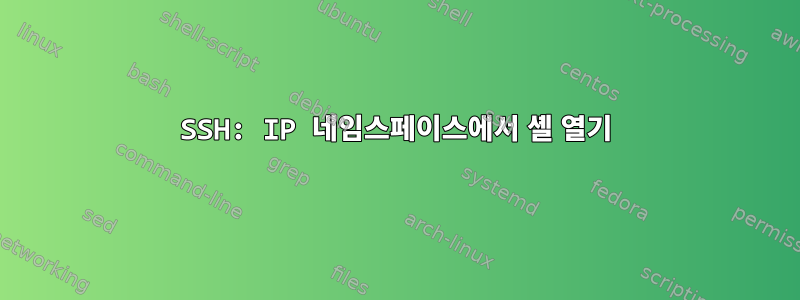 SSH: IP 네임스페이스에서 셸 열기