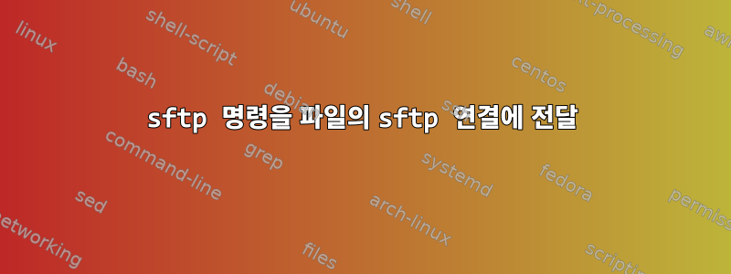 sftp 명령을 파일의 sftp 연결에 전달