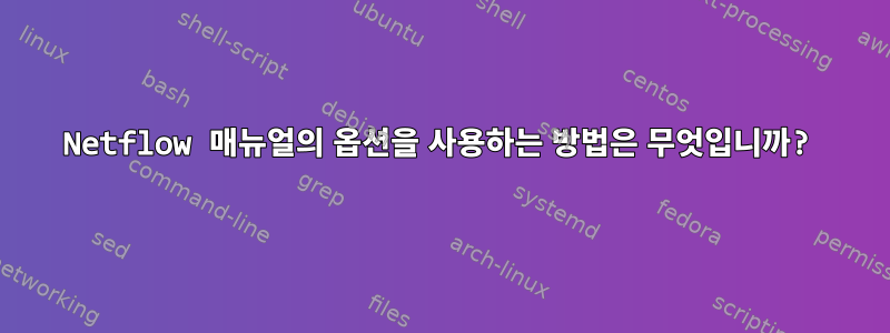 Netflow 매뉴얼의 옵션을 사용하는 방법은 무엇입니까?