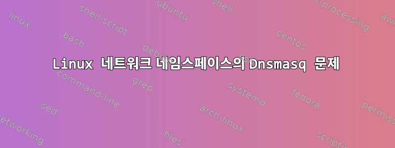 Linux 네트워크 네임스페이스의 Dnsmasq 문제