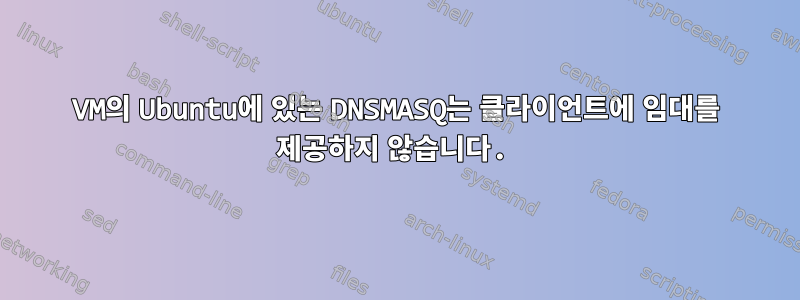 VM의 Ubuntu에 있는 DNSMASQ는 클라이언트에 임대를 제공하지 않습니다.