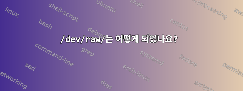 /dev/raw/는 어떻게 되었나요?