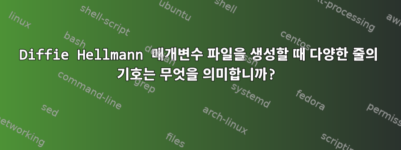 Diffie Hellmann 매개변수 파일을 생성할 때 다양한 줄의 기호는 무엇을 의미합니까?