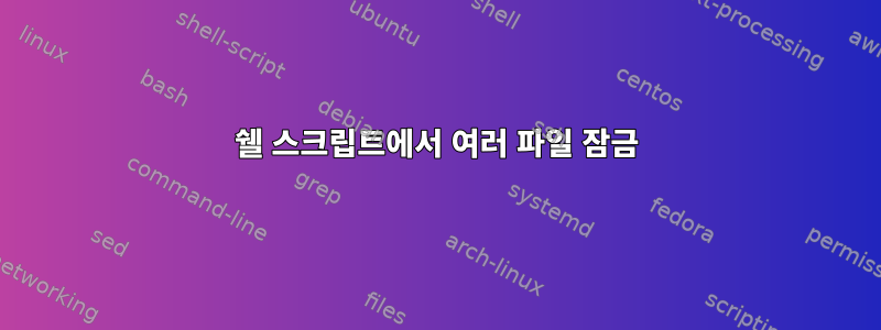 쉘 스크립트에서 여러 파일 잠금