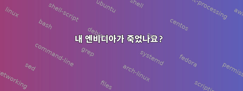 내 엔비디아가 죽었나요?