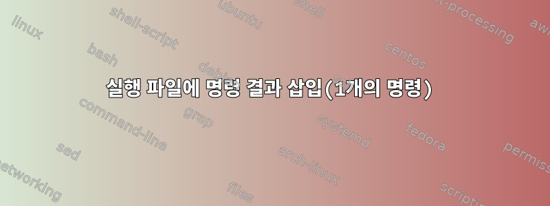 실행 파일에 명령 결과 삽입(1개의 명령)