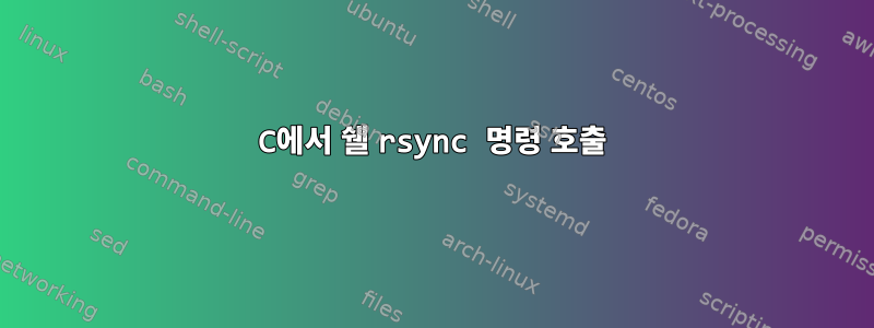 C에서 쉘 rsync 명령 호출