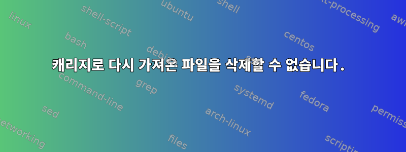 캐리지로 다시 가져온 파일을 삭제할 수 없습니다.