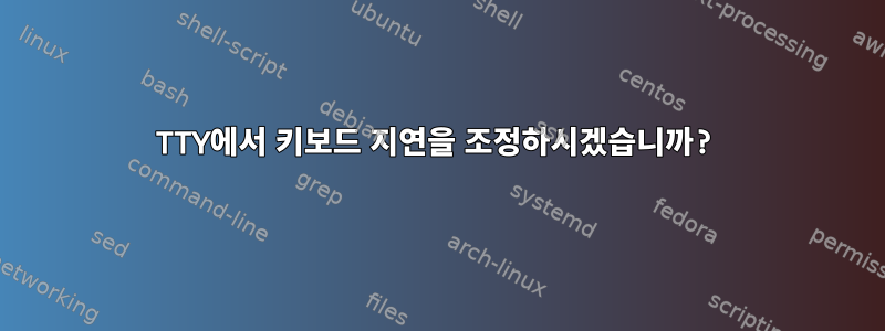 TTY에서 키보드 지연을 조정하시겠습니까?