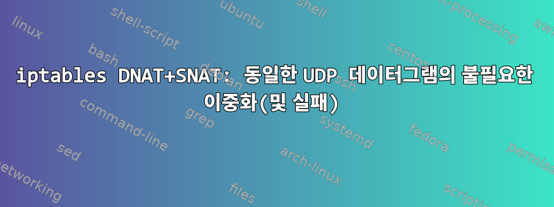 iptables DNAT+SNAT: 동일한 UDP 데이터그램의 불필요한 이중화(및 실패)