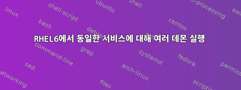 RHEL6에서 동일한 서비스에 대해 여러 데몬 실행