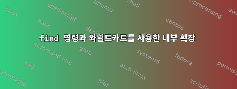 find 명령과 와일드카드를 사용한 내부 확장