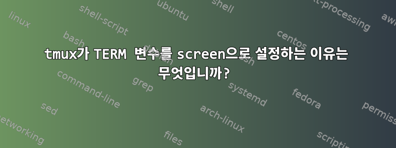 tmux가 TERM 변수를 screen으로 설정하는 이유는 무엇입니까?