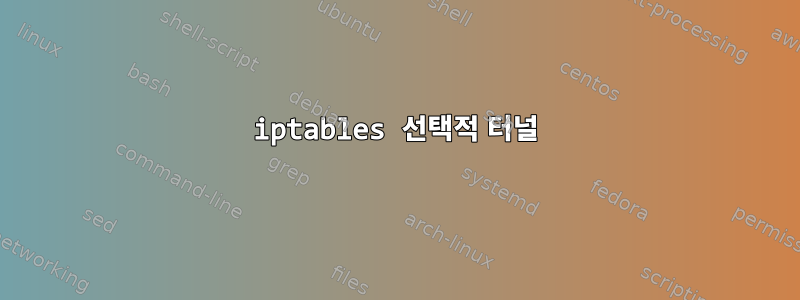 iptables 선택적 터널