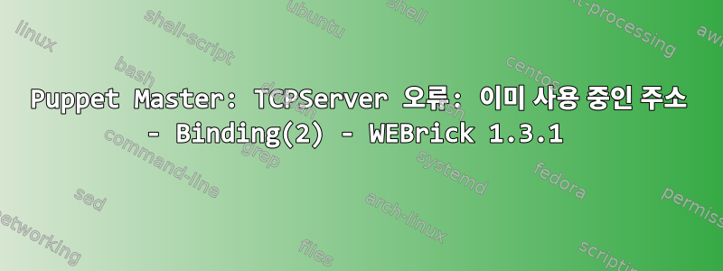 Puppet Master: TCPServer 오류: 이미 사용 중인 주소 - Binding(2) - WEBrick 1.3.1