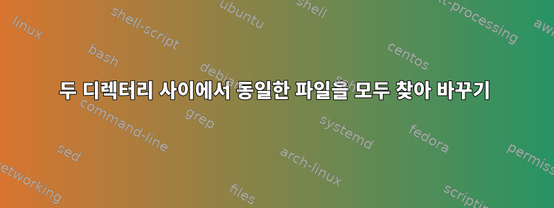 두 디렉터리 사이에서 동일한 파일을 모두 찾아 바꾸기