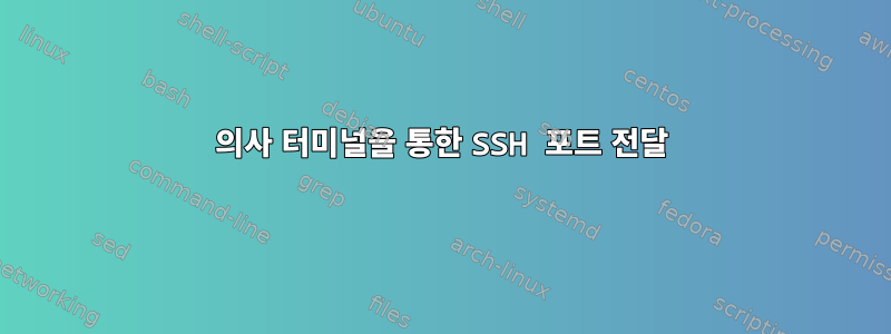 의사 터미널을 통한 SSH 포트 전달